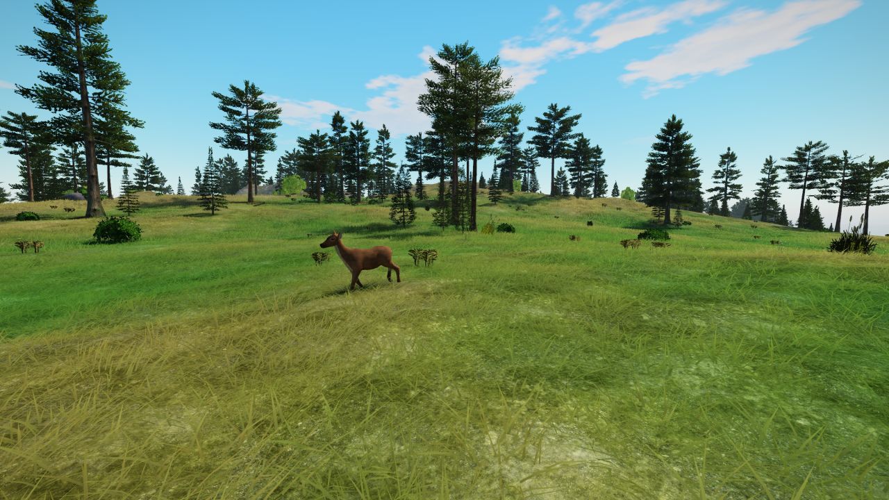 A deer in a pine meadow on Blackpine Isle